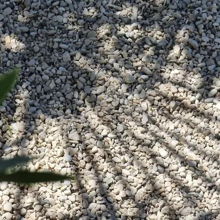 Odri Vlorë
