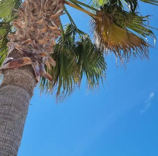 Odri Apartament Wlora